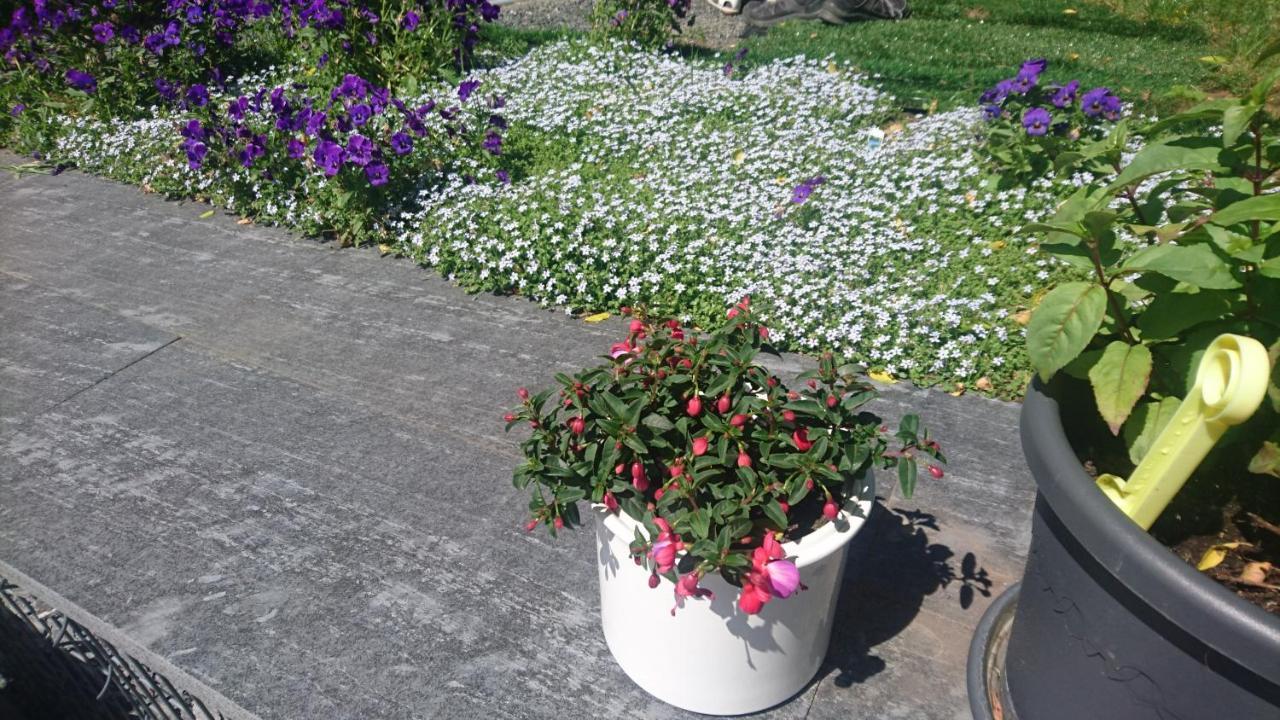 Ferienwohnung Mit Garten Und Spielplatz クリンゲンタール エクステリア 写真